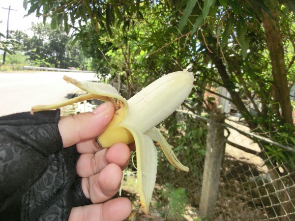 (10:59) Bananene vi kjøper langs veien når vi har mulighet til det. De har mye smak.
