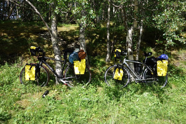 Vi stoler på at ingen stjeler sykler eller utstyr mens vi er på fjelltur. Syklene ble bare parkert i skogkanten der stien opp til Tvillingan startet