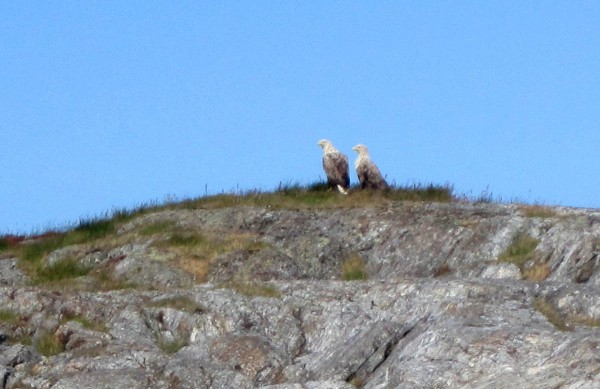 Foreldrene er i nærheten og passer på.