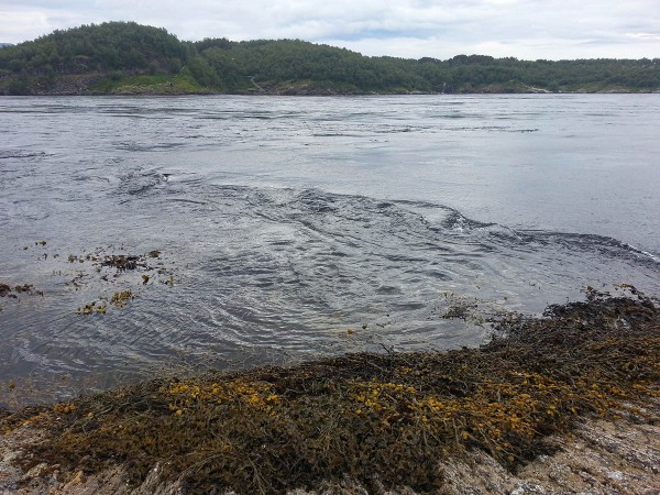 Saltstraumen - Hadde ikke vært hyggelig å ramlet uti her.