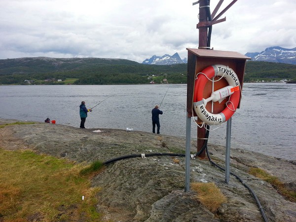 Det er godt fiske når strømmen er på inngående.