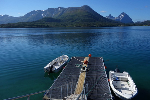 Furøy Camping