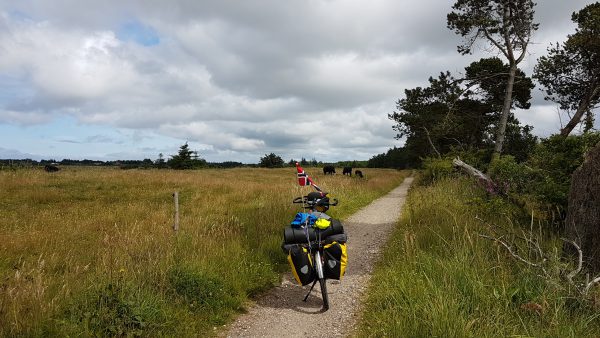 (13:49) Fra Sykkelrute 1 på vei nord mot Skagen.