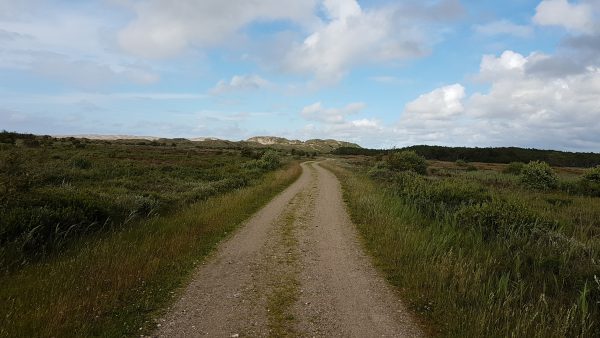 (13:49) Fra Sykkelrute 1 på vei nord mot Skagen.