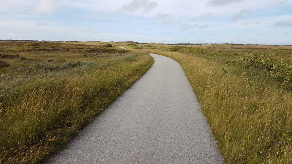 (13:49) Fra Sykkelrute 1 på vei nord mot Skagen.